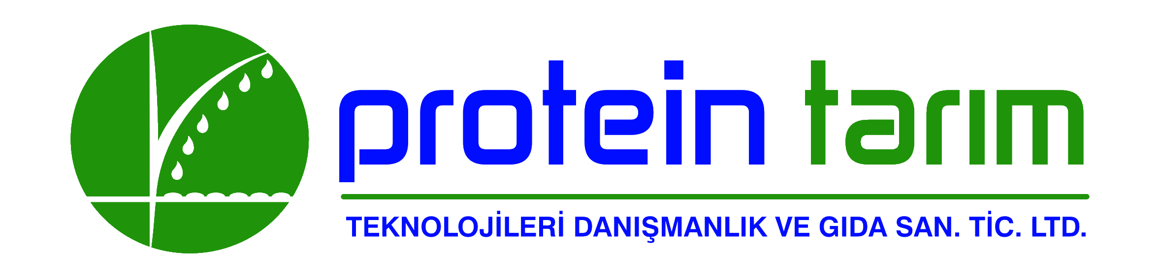 PROTEİN